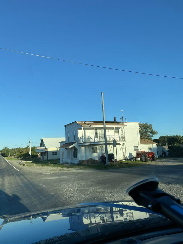 Albee - Sept 2020 Photo Of Albee (newer photo)